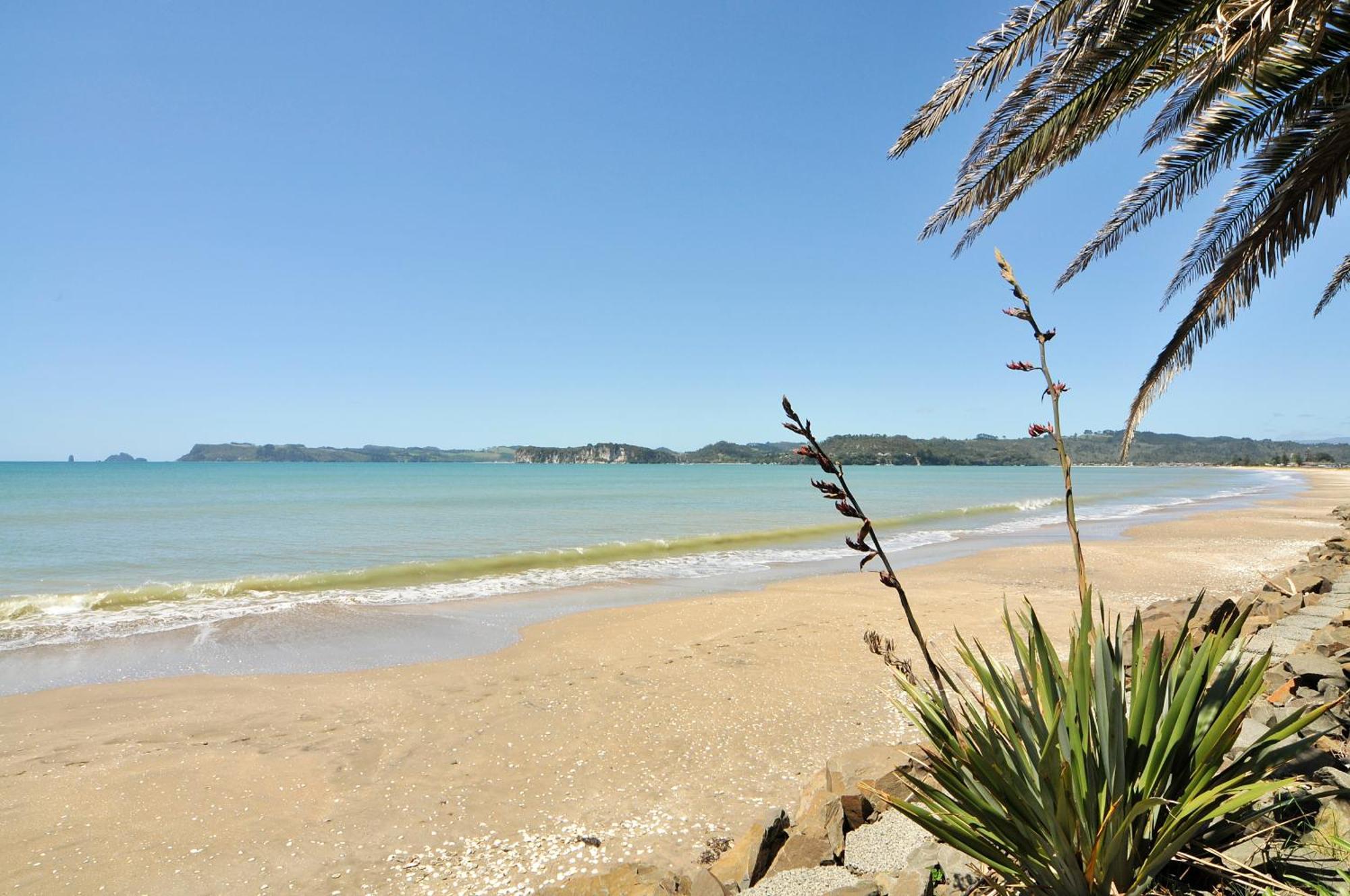 Whitianga Campground Exterior photo